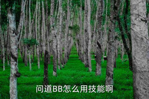 问道手游版怎么用宝宝技能，问道在战斗状态BB怎么怎么用技能