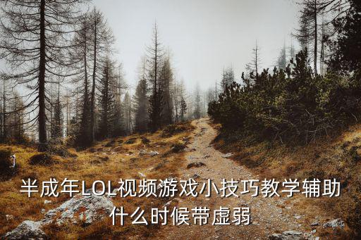 半成年LOL视频游戏小技巧教学辅助什么时候带虚弱