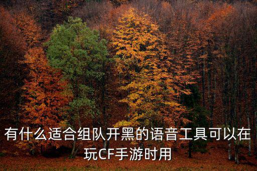 有什么适合组队开黑的语音工具可以在玩CF手游时用