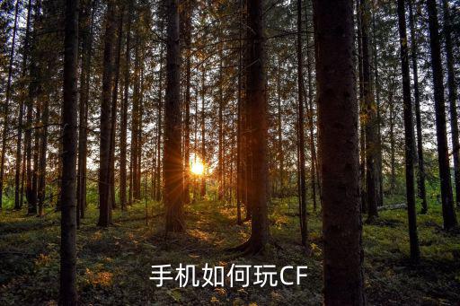 cf手游云逸怎么玩，手机如何玩CF