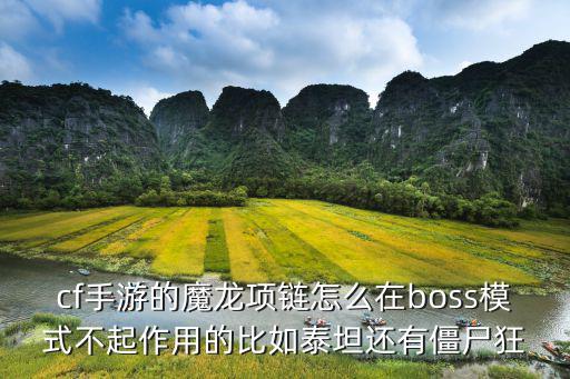 cf手游的魔龙项链怎么在boss模式不起作用的比如泰坦还有僵尸狂