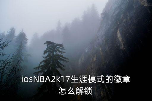 iosNBA2k17生涯模式的徽章怎么解锁