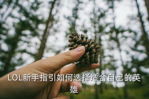 LOL新手指引如何选择适合自己的英雄