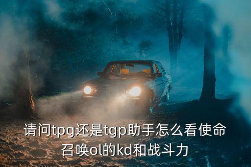 请问tpg还是tgp助手怎么看使命召唤ol的kd和战斗力