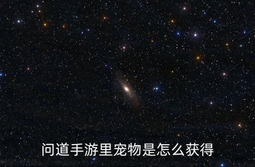 问道手游里宠物是怎么获得