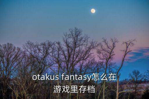 otakus fantasy怎么在游戏里存档