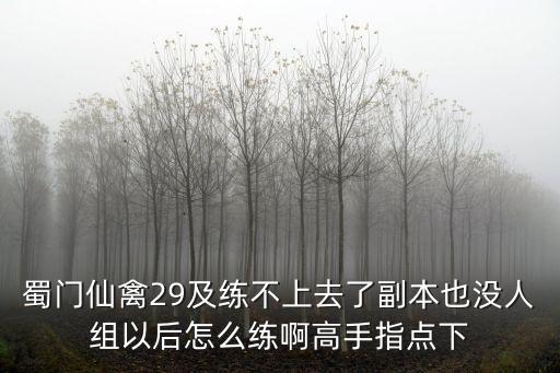 蜀门仙禽29及练不上去了副本也没人组以后怎么练啊高手指点下