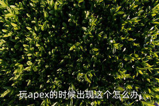 玩apex的时候出现这个怎么办