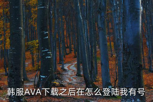 韩服AVA下载之后在怎么登陆我有号