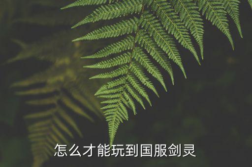 怎么才能玩到国服剑灵