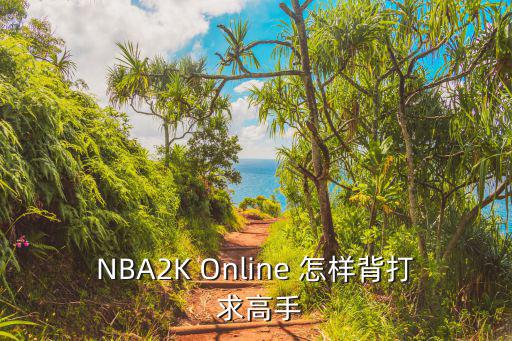 手游2k2022王朝怎么背打，NBA2K Online 怎样背打 求高手