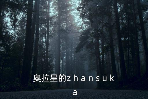 奥拉星的z h a n s u k a