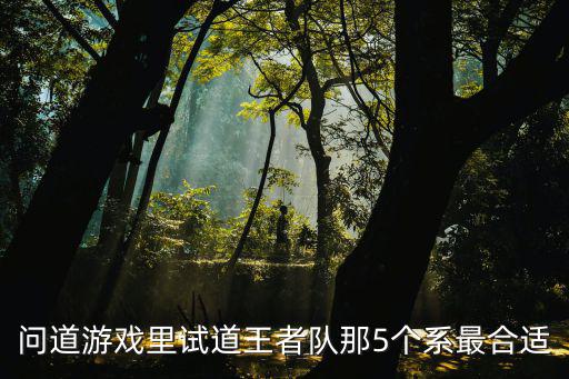 问道手游试道队怎么配，问道手游的游戏里面79级试道队伍大众玩法怎么搭配