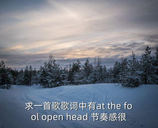 求一首歌歌词中有at the fool open head 节奏感很