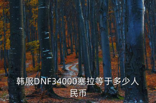 韩服DNF34000塞拉等于多少人民币