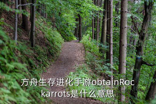 方舟生存进化手游obtainRockarrots是什么意思