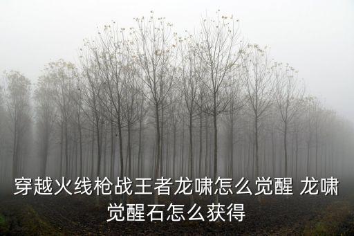 穿越火线枪战王者龙啸怎么觉醒 龙啸觉醒石怎么获得