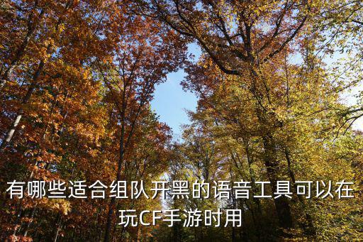 有哪些适合组队开黑的语音工具可以在玩CF手游时用