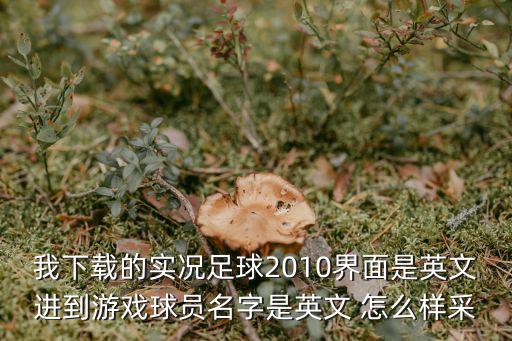 我下载的实况足球2010界面是英文进到游戏球员名字是英文 怎么样采