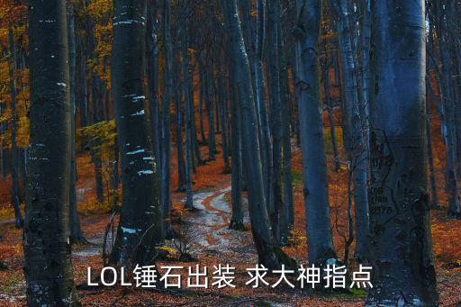 LOL锤石出装 求大神指点