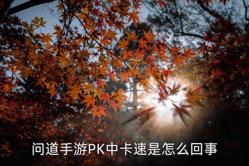 问道手游PK中卡速是怎么回事