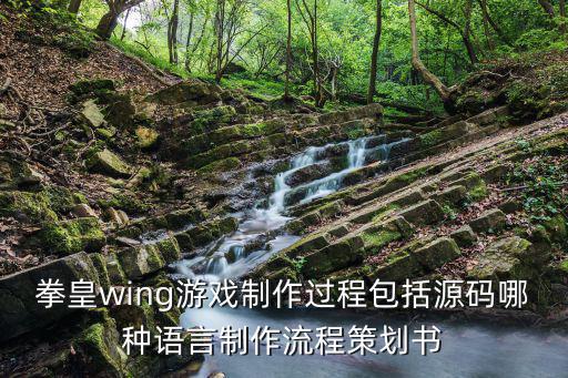 拳皇wing游戏制作过程包括源码哪种语言制作流程策划书