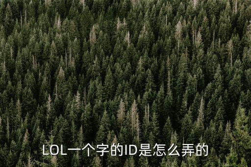 LOL一个字的ID是怎么弄的