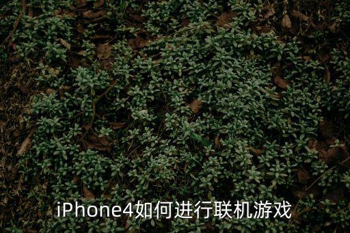 iPhone4如何进行联机游戏