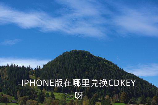 IPHONE版在哪里兑换CDKEY呀