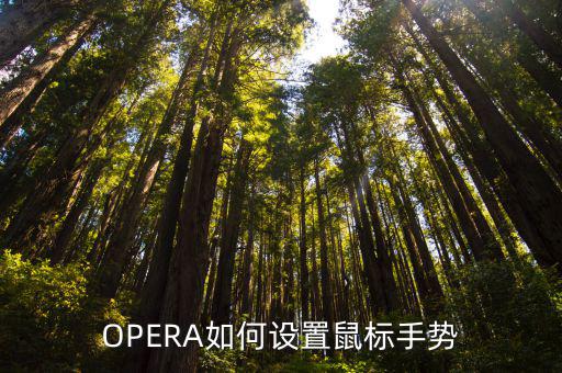 OPERA如何设置鼠标手势