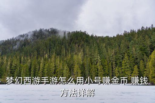 梦幻手游小号怎么打，梦幻西游游戏小号怎么练起来