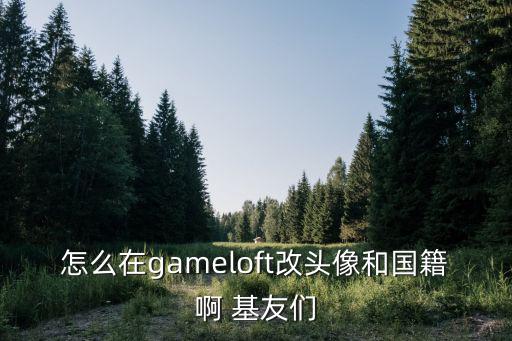 怎么在gameloft改头像和国籍啊 基友们