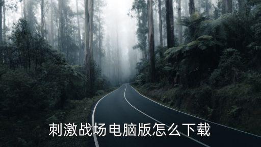 刺激战场电脑版怎么下载