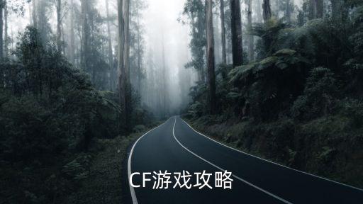 CF游戏攻略