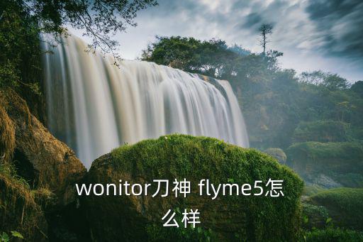 wonitor刀神 flyme5怎么样