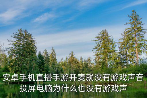 安卓手机直播手游开麦就没有游戏声音投屏电脑为什么也没有游戏声