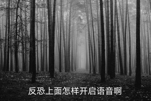 反恐上面怎样开启语音啊