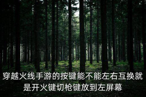 穿越火线手游两个射击键怎么调，谁知道cf手游怎么弄两个跳键教教我