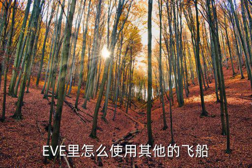 EVE里怎么使用其他的飞船