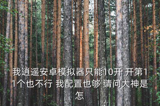 我逍遥安卓模拟器只能10开 开第11个也不行 我配置也够 请问大神是怎