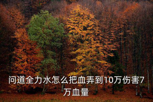 问道全力水怎么把血弄到10万伤害7万血量