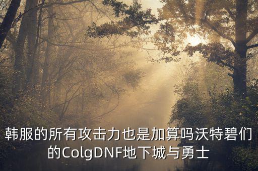 韩服的所有攻击力也是加算吗沃特碧们的ColgDNF地下城与勇士