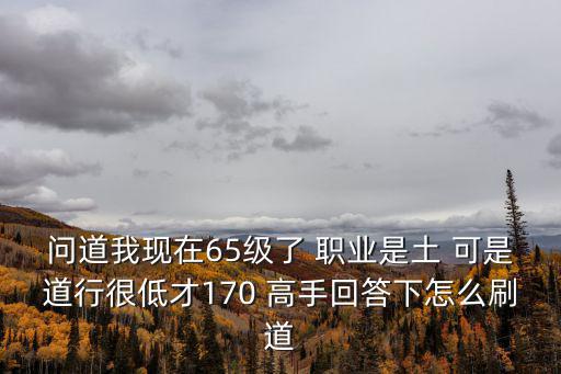 问道手游65级怎么刷道快，问道我现在65级了 职业是土 可是道行很低才170 高手回答下怎么刷道