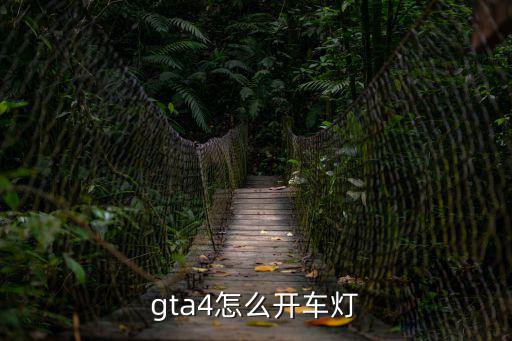 gta4怎么开车灯