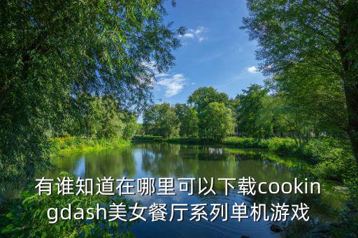 有谁知道在哪里可以下载cookingdash美女餐厅系列单机游戏