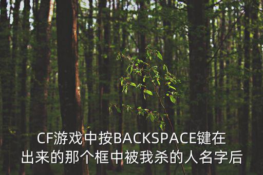 CF游戏中按BACKSPACE键在出来的那个框中被我杀的人名字后