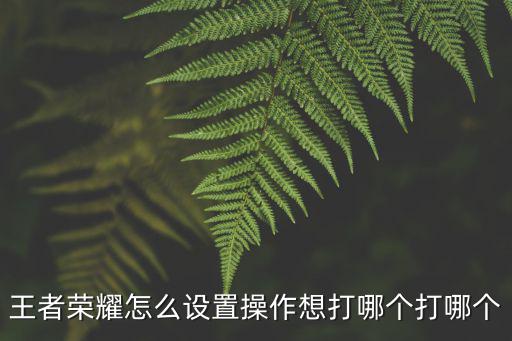 王者荣耀怎么设置操作想打哪个打哪个