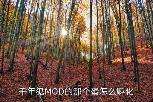 千年狐MOD的那个蛋怎么孵化