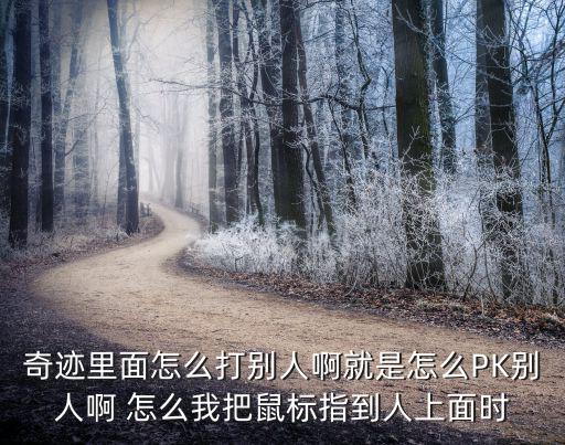 奇迹里面怎么打别人啊就是怎么PK别人啊 怎么我把鼠标指到人上面时