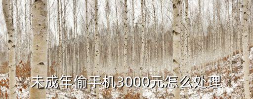 未成年偷手机3000元怎么处理